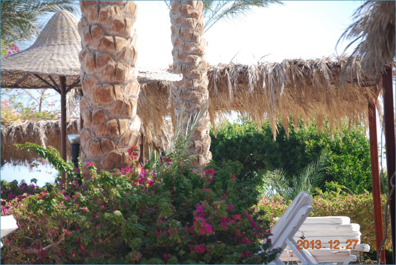 sharm 12 154